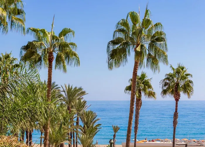 Lejlighed El Remo By Ivi Real Estate